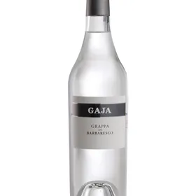 Gaja