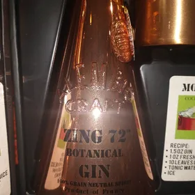 Alembic Craft Zing 72