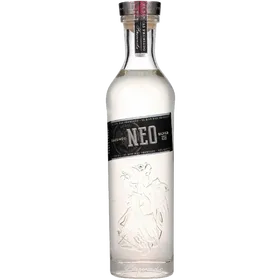 Facundo Neo