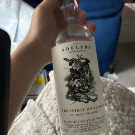 The Spirit of Sunart