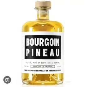 Bourgoin Pineau