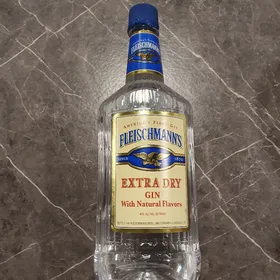 Fleischmann's Extra Dry Gin