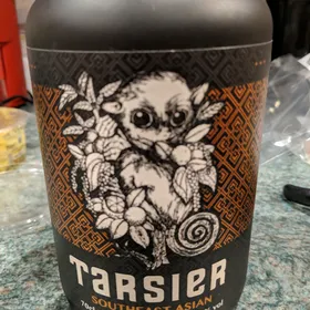 Tarsier