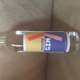 Future Gin