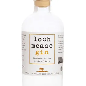 Loch Measc Gin