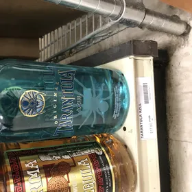 Tarantula Azul
