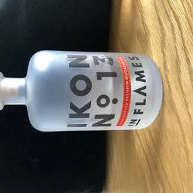 IKON No 13