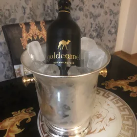goldcamel