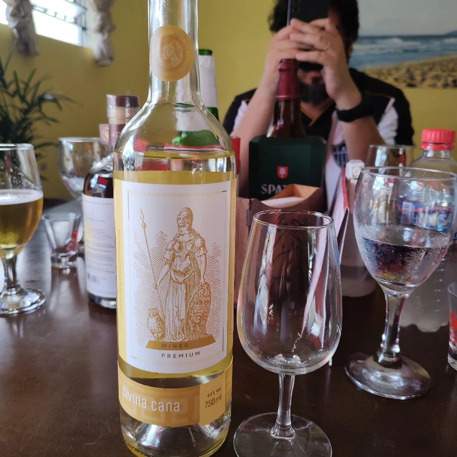 CACHAÇA DIVINA CANA MINERVA CASTANHEIRA