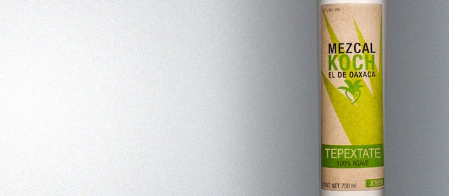 Koch el Mezcal Tepextate