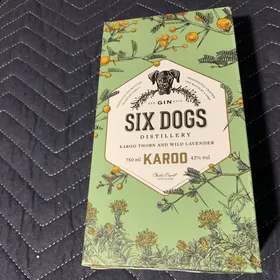 Six Dogs - Karoo