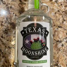 Texas Moonshine Prickly Pear Cactus