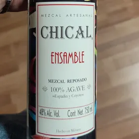 Chical Ensamble