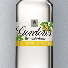 Gordon's Elderflower Gin