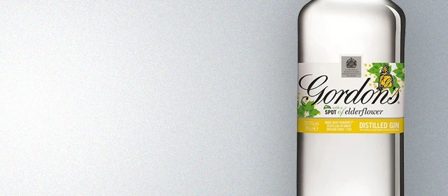 Gordon's Elderflower Gin