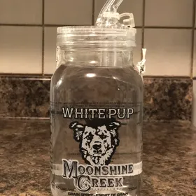 Moonshine Creek White Pup