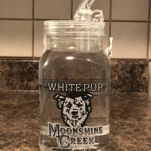 Moonshine Creek White Pup
