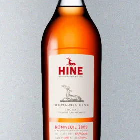 HINE Bonneuil 2008