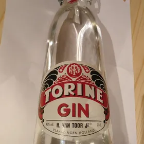 Van Toor Torine