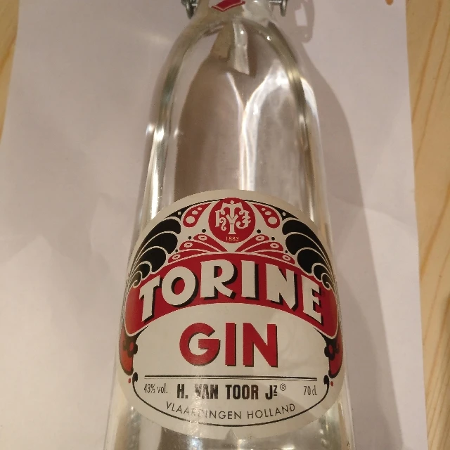 Van Toor Torine