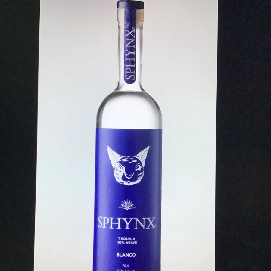 Sphynx Blanco