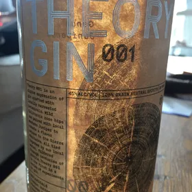 Theory Gin 001