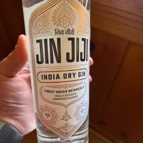 Jin Jiji