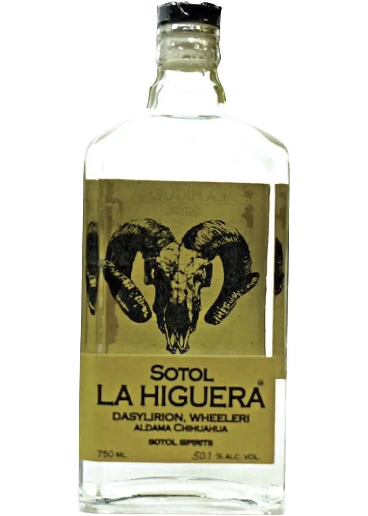 Quechol Wheeleri Sotol