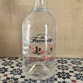 La Favorite Tjé kann 2025