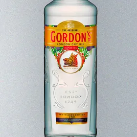Gordon's London Dry Gin Traveller's Edition