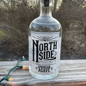 North Side. American Agave