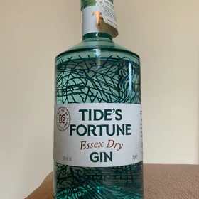 Tides Fortune