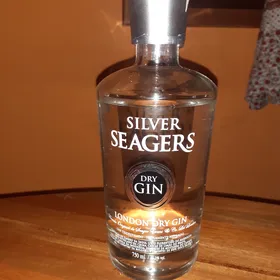 Silver seagers
